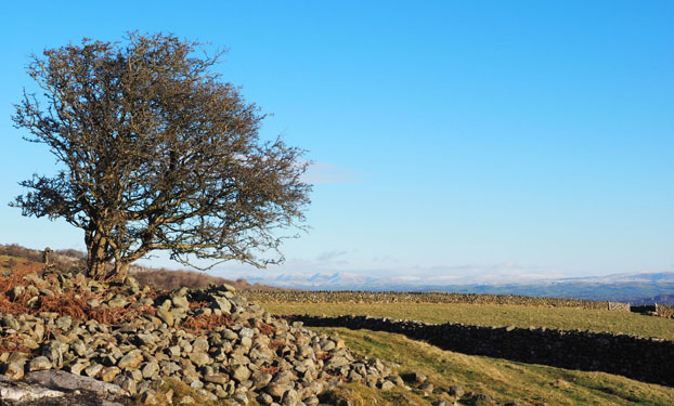 View NE toward the Howgill fells