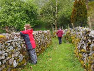 Sue and Jo wander down a green lane